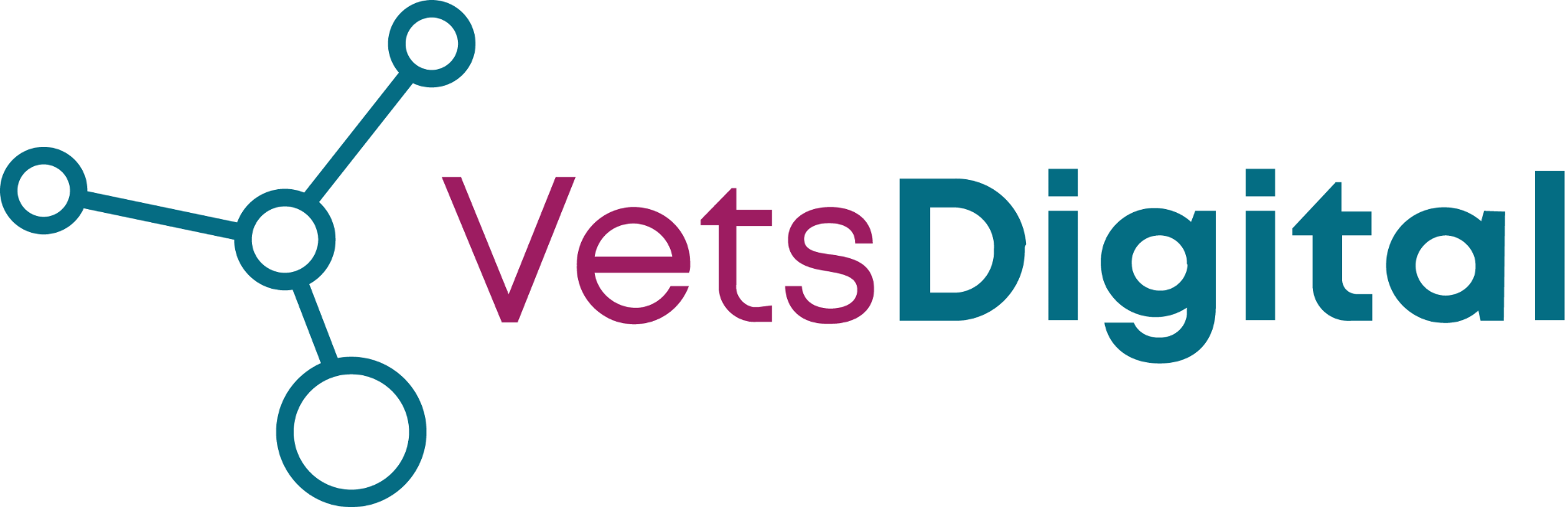 VetsDigital